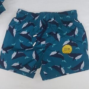 Teal Whale Print Swim Shorts